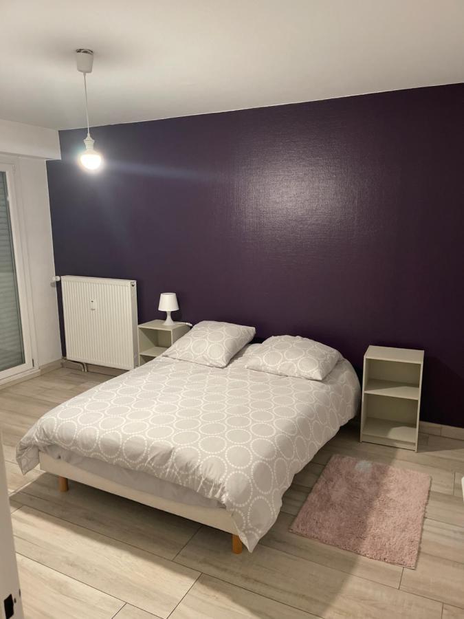 Superbe Appartement Avec Place De Parking Gratuit Strasbourg Exterior photo